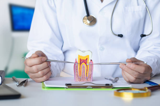 Best Emergency Treatment for Dental Infections or Abscesses in Lake Lorelei, OH